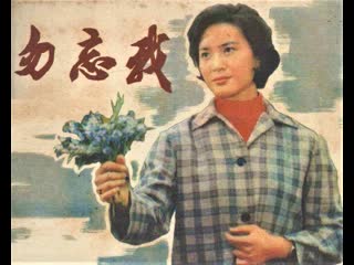 forget-me-not (1982) is a drama about the difficult and sometimes unbearable life during the cultural revolution.