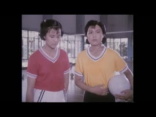 volleyball flower is a 1980 feature film directed by lu jianhua.