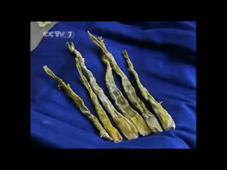 processing technology of dried bamboo shoots big tits