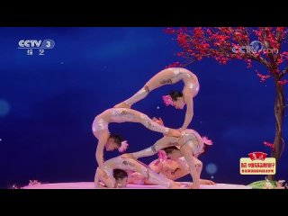 cangzhou acrobatic troupe with lotus pond moonlight performance