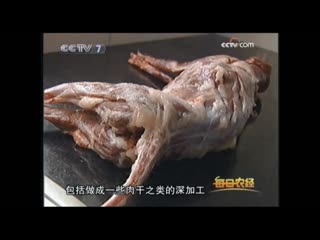 zhou meat. arctic fox, or white fox baihu. baihu zhou's white fox meat on a canzhuo dinner table.