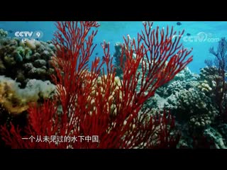 underwater china shuixia zhongguo. (part 2). shipwrecks - ancient and modern gujin chenchuan.