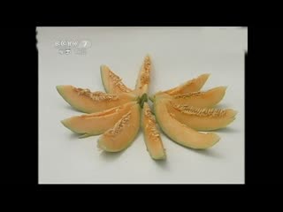 cultivation technology of zaipei jishu (cultivation method) of a new variety of melon yuanshou tiangua, which means head-melon.