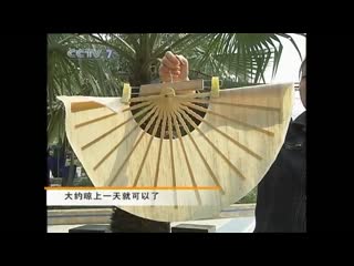 a 3000-year-old craft 3000 folding fan [zh sh n] “zheshan”