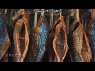 traditional smoked marinated fish. 3000 year old dish making technology