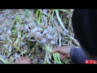 li ziqi - a girl with character garlic xuan (lat. allium sativum), or dasuan (large garlic).