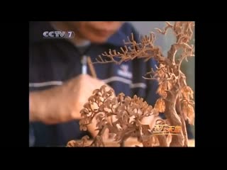 paintings made from cork tree bark [ru nm hu ] "ruan mu hua" (cork painting)