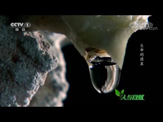 man and nature ren yu ziran . film № 010. water shui - source of life shengming de yuanquan