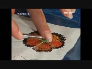 hua paintings from dechi butterfly wings. ancient craft technology.