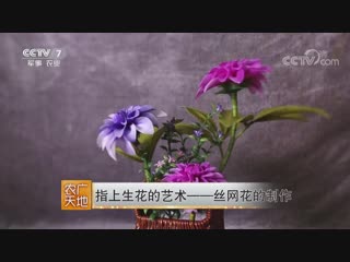 hua flower. jia hua artificial flower. decorative arts of zaohuashu (make artificial paper flowers, and