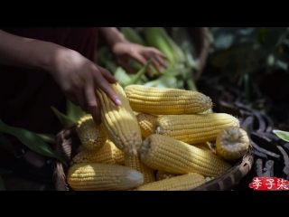 li ziqi - a girl with character corn yushushu (jade sorghum), or even yumi (corn) ... corn (maize) molds