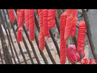 li ziqi - a girl with character waiting for spring flowers dai chunnuan hua kai . dried vegetables shai gan de shu tsai with podk