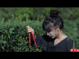 li ziqi - a girl with character soul of sichuan cuisine chuancai zhi hun douban jiang spicy bean paste. technology