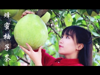 li ziqi - a girl with character magic pomelo honey jam yu zi de mofa fengmi guojiang.