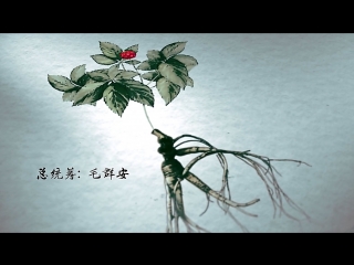 herbal china (movie 01) ben cao zhong guo. documentary film about the culture of chinese medicine.