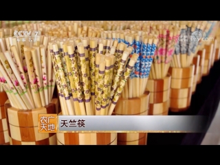 kuai chopsticks, or tian qi (indian chopsticks). sticks in an artistic frame tianchao from large-leaved