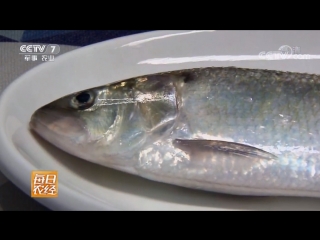 herring, feiyu herring. common chinese aphrodisiac. herring in china is valued for its mother-of-pearl scales, which, according to local legends,