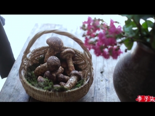 li ziqi - a girl with character do-it-yourself grill stove. grilled forest mushrooms.