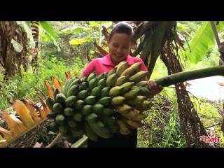 ninth sister is the smartest banana island. how to get a bunch of bananas.