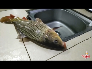 ninth sister - the most smart catch big and very big fish fried carp with li wu sauce.