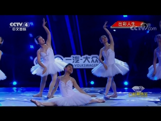 a joke with a serious face. excerpt from the ballet "swan lake". performed by a group of classical dance lovers huajia t